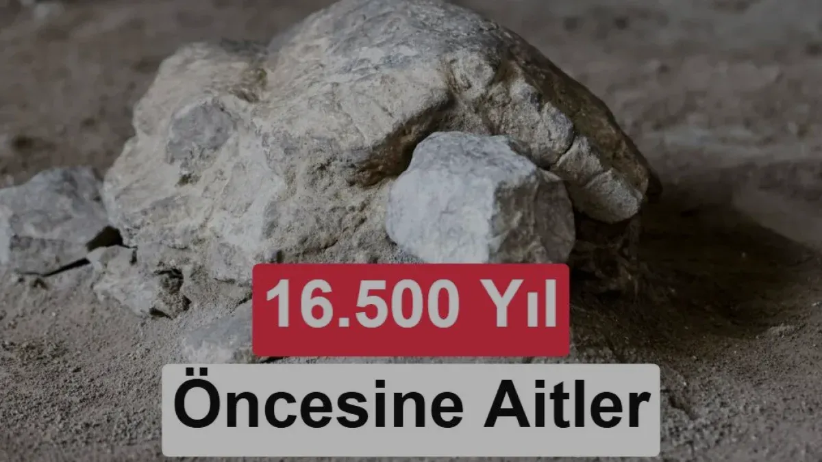Bilecik Gedikkaya Tepesi'nde 16 bin 500 yıllık kaplumbağa heykelleri