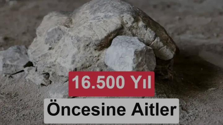 Bilecik Gedikkaya Tepesi'nde 16 bin 500 yıllık kaplumbağa heykelleri