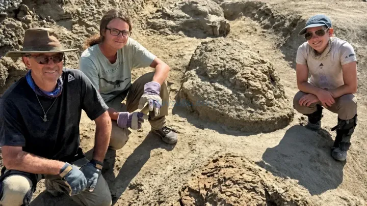 66,5 Milyon Yıllık T. rex Ayak İzleri Bulundu: Dev Dinozorun Yürüyüşü İlk Kez Takip Edildi