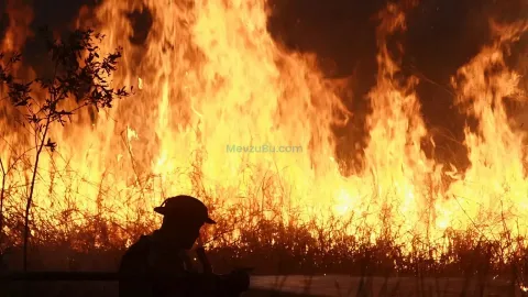 Endonezya’da Orman Yangını Krizi Büyüyor: 12,5 Milyondan Fazla Kişi Dumandan Etkilendi